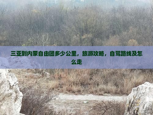 三亚到内蒙自由团
