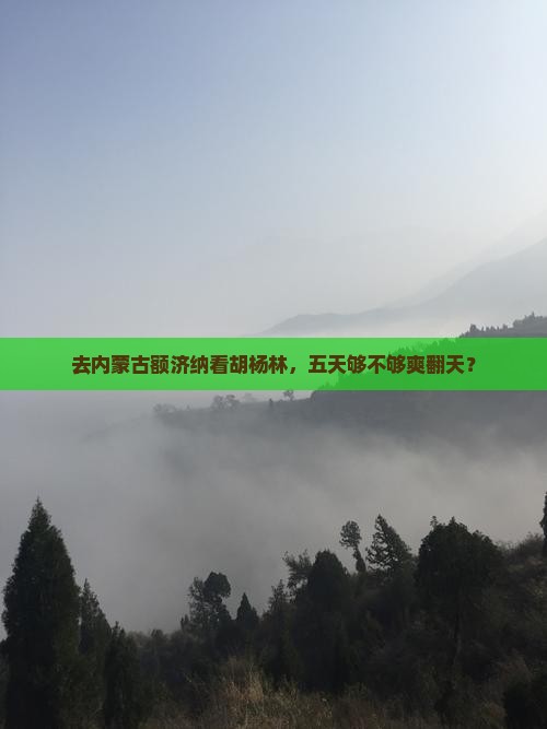 阿拉尔去内蒙额济纳胡杨林五日游