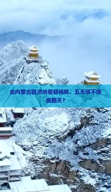 阿拉尔去内蒙额济纳胡杨林五日游