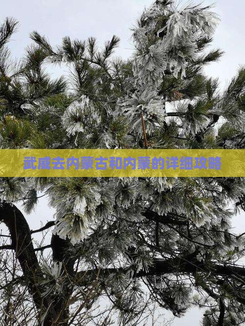 武威去内蒙攻略