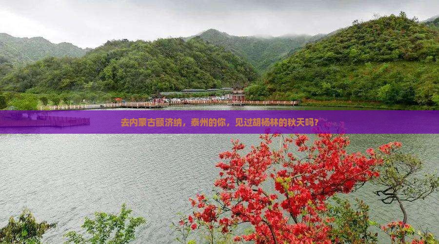 泰州去内蒙额济纳胡杨林自由团