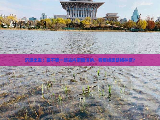 济源去内蒙额济纳胡杨林团体旅游