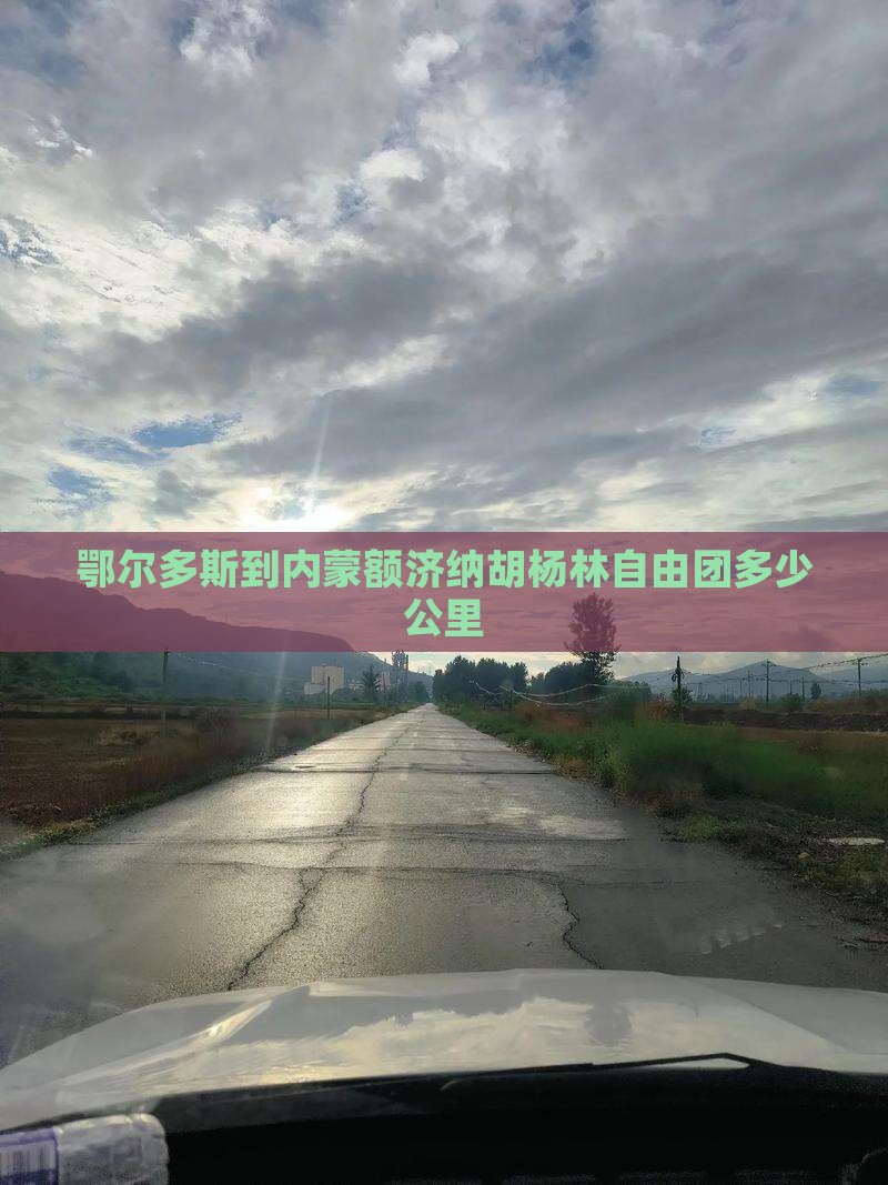 鄂尔多斯到内蒙额济纳胡杨林自由团