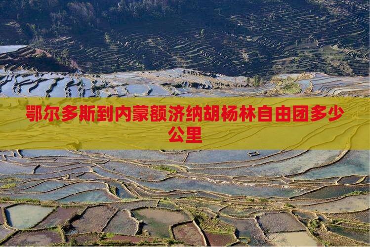 鄂尔多斯到内蒙额济纳胡杨林自由团