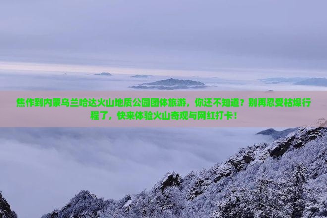 焦作到内蒙乌兰哈达火山地质公园团体旅游