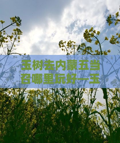 玉树去内蒙五当召哪里玩