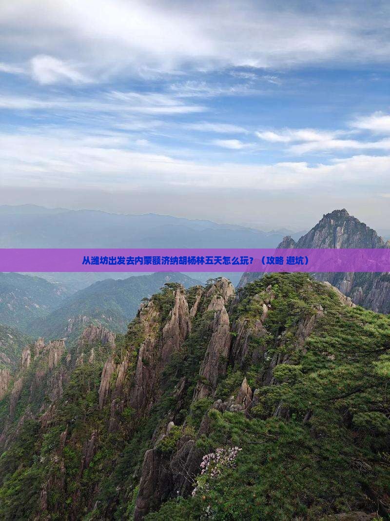 潍坊去内蒙额济纳胡杨林五日游