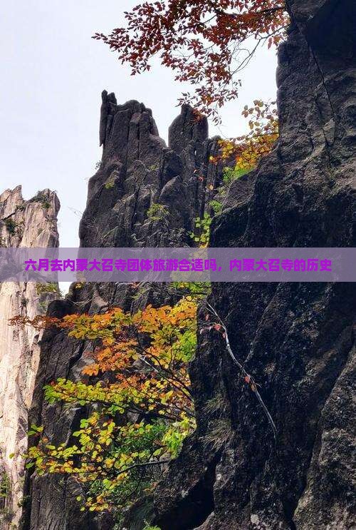六月去内蒙大召寺团体旅游