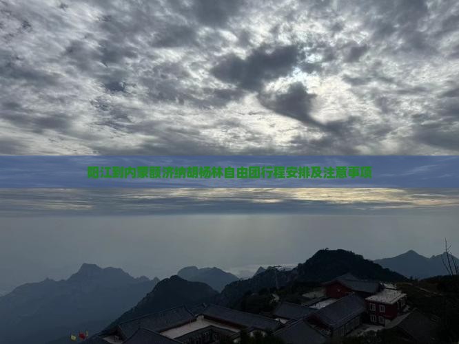 阳江到内蒙额济纳胡杨林自由团