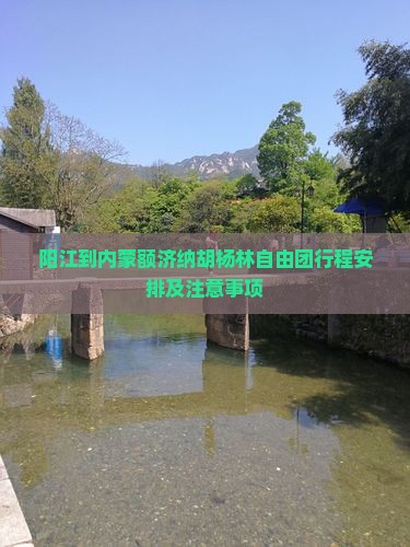 阳江到内蒙额济纳胡杨林自由团