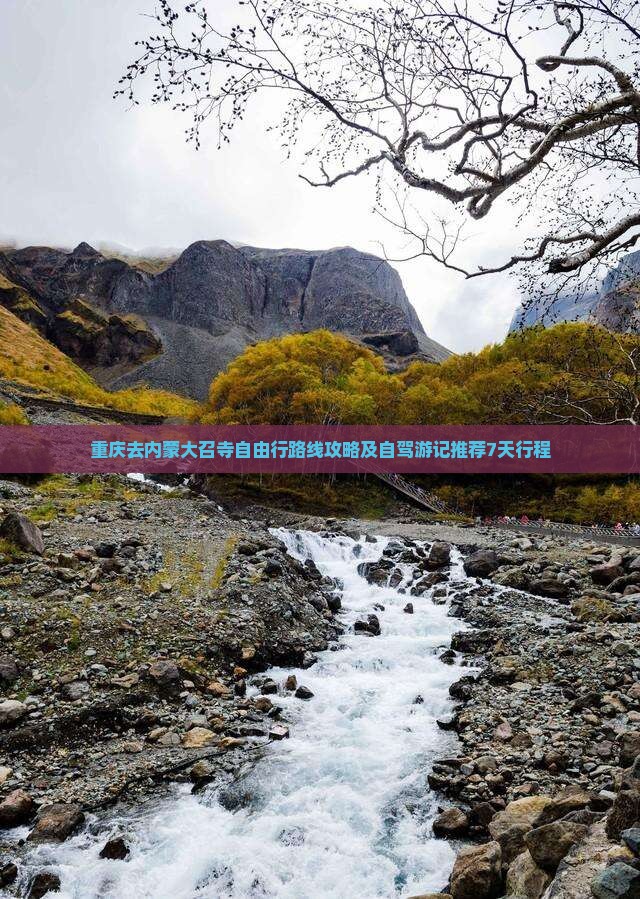 重庆去内蒙大召寺自由行