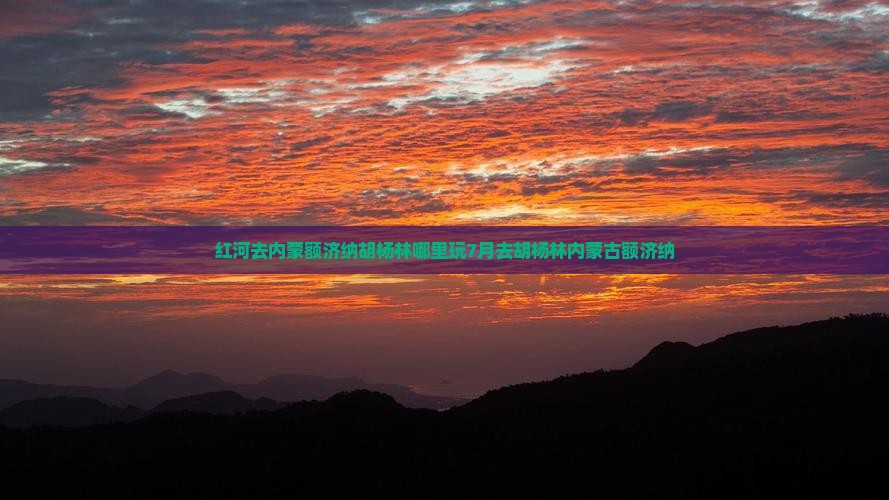 红河去内蒙额济纳胡杨林哪里玩