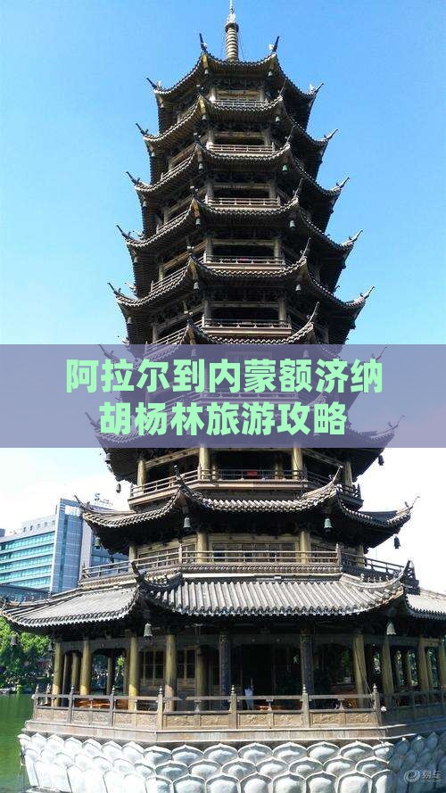 阿拉尔到内蒙额济纳胡杨林旅行社