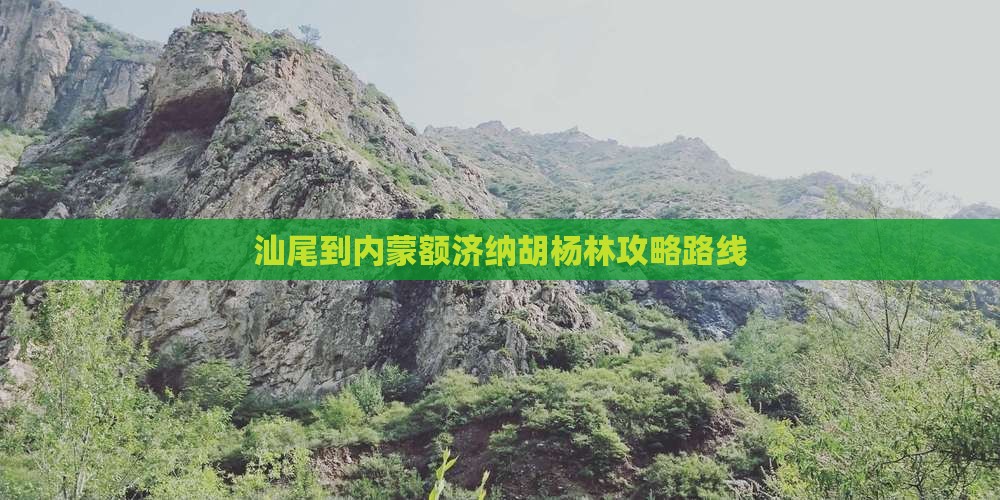 汕尾到内蒙额济纳胡杨林攻略