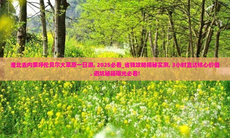 淮北去内蒙呼伦贝尔大草原一日游