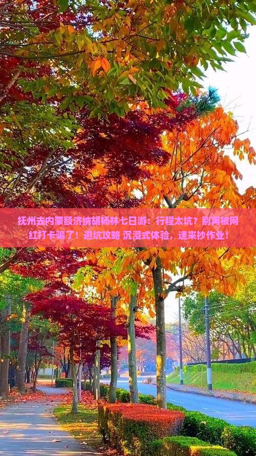 抚州去内蒙额济纳胡杨林七日游 抚州去内蒙额济纳胡杨林七日游