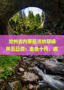 沧州去内蒙额济纳胡杨林五日游