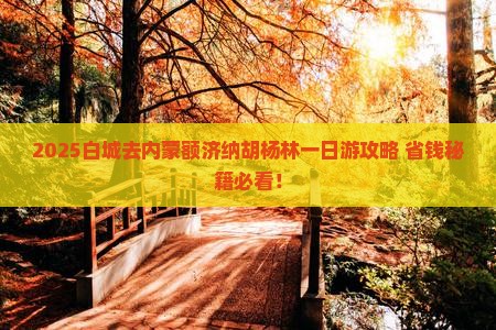 白城去内蒙额济纳胡杨林一日游