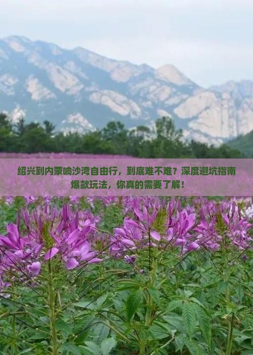 绍兴到内蒙响沙湾自由行