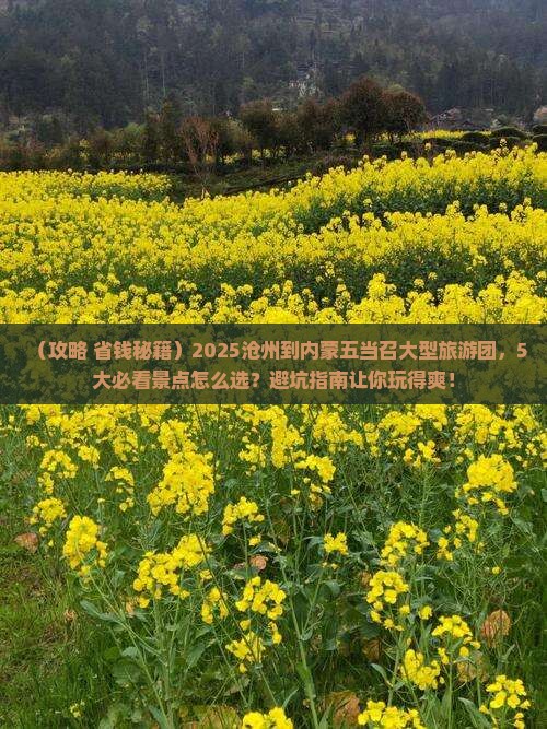 沧州到内蒙五当召大型旅游团 沧州到内蒙五当召大型旅游团