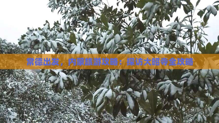 常德到内蒙大召寺攻略