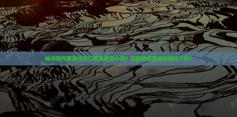株洲到内蒙希拉穆仁草原旅游小吃