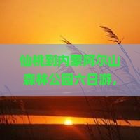 仙桃到内蒙阿尔山国家森林公园六日游
