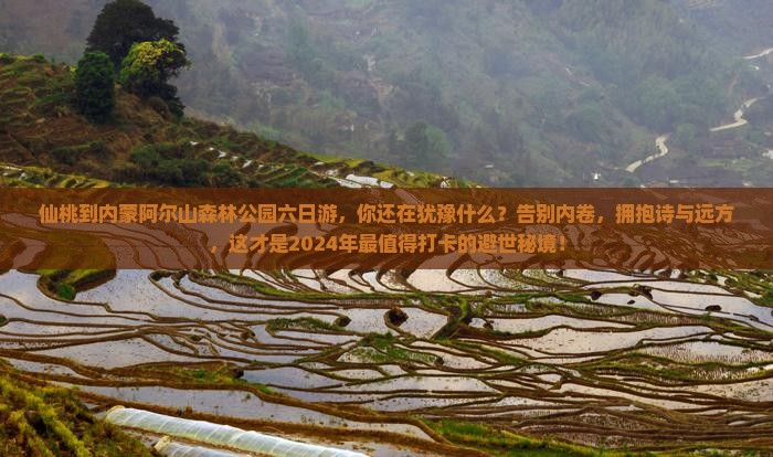 仙桃到内蒙阿尔山国家森林公园六日游