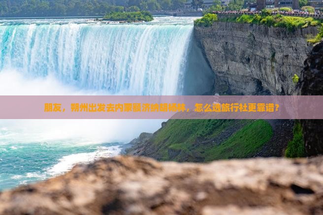 朋友，朔州出发去内蒙额济纳胡杨林，怎么选旅行社更靠谱？