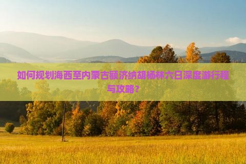 如何规划海西至内蒙古额济纳胡杨林六日深度游行程与攻略？