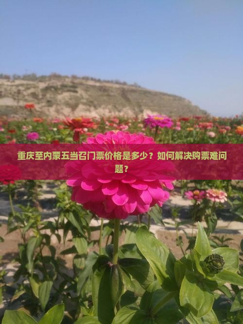 重庆至内蒙五当召门票价格是多少？如何解决购票难问题？