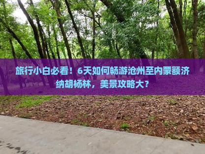 旅行小白必看！6天如何畅游沧州至内蒙额济纳胡杨林，美景攻略大？