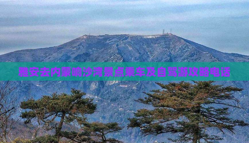 雅安去内蒙响沙湾景点乘车及自驾游攻略电话