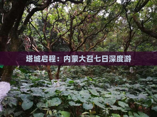 塔城启程：内蒙大召七日深度游