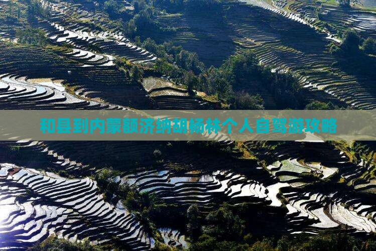 和县到内蒙额济纳胡杨林个人自驾游攻略
