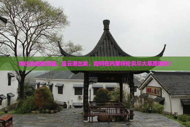 向往自由的灵魂，连云港出发，如何在内蒙呼伦贝尔大草原撒欢？