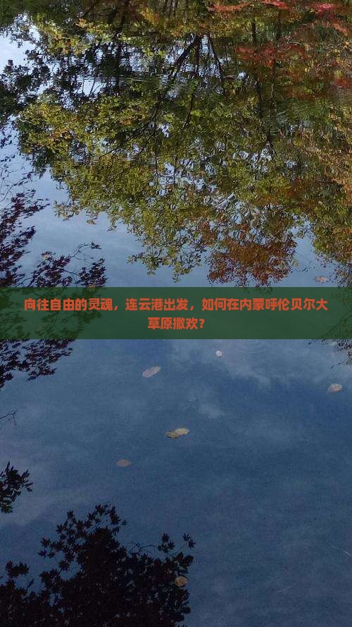 向往自由的灵魂，连云港出发，如何在内蒙呼伦贝尔大草原撒欢？