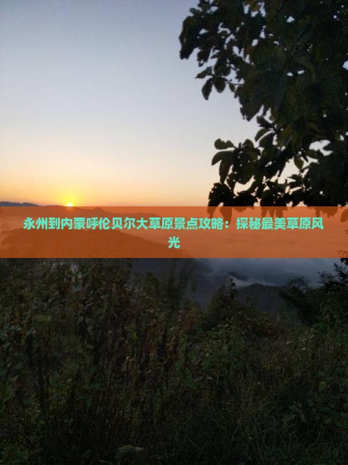 永州到内蒙呼伦贝尔大草原景点攻略：探秘最美草原风光
