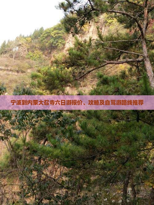 宁波到内蒙大召寺六日游报价、攻略及自驾游路线推荐
