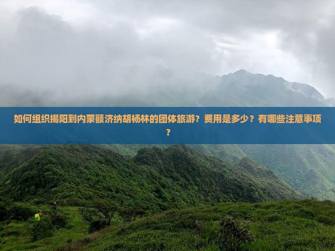 如何组织揭阳到内蒙额济纳胡杨林的团体旅游？费用是多少？有哪些注意事项？
