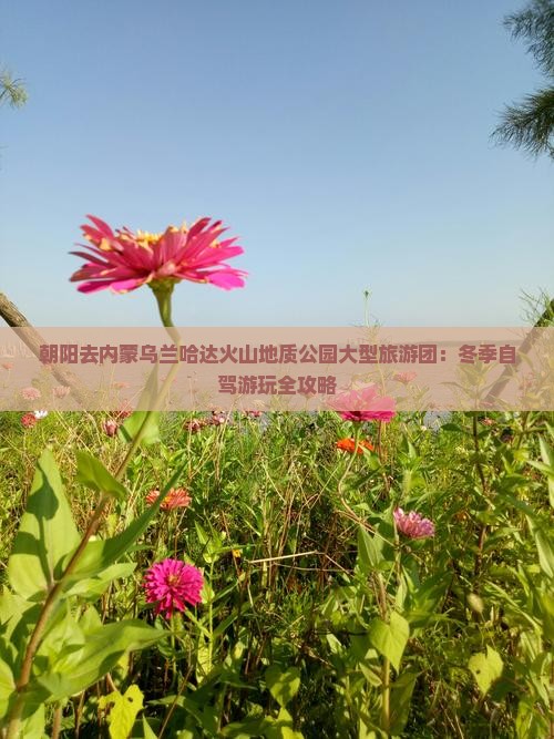 朝阳去内蒙乌兰哈达火山地质公园大型旅游团：冬季自驾游玩全攻略