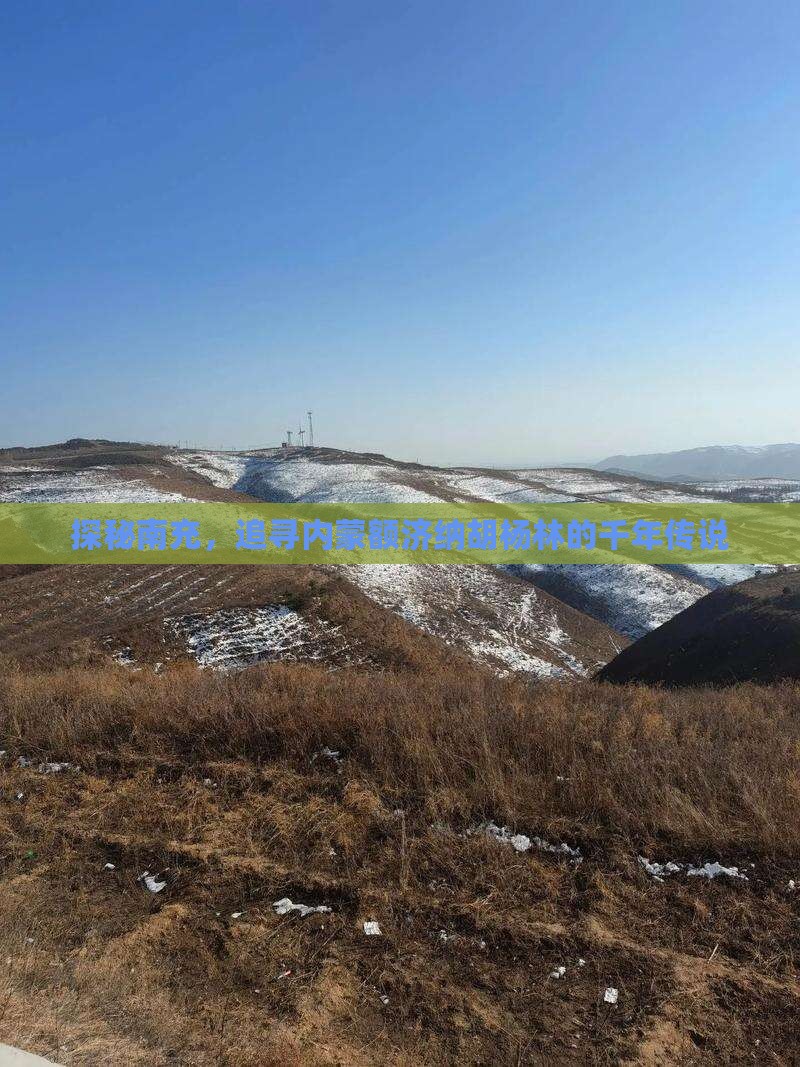 探秘南充，追寻内蒙额济纳胡杨林的千年传说
