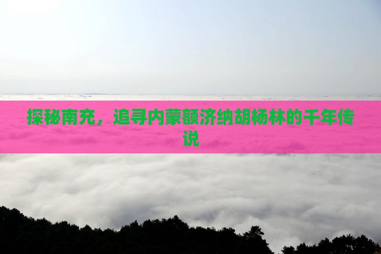 探秘南充，追寻内蒙额济纳胡杨林的千年传说