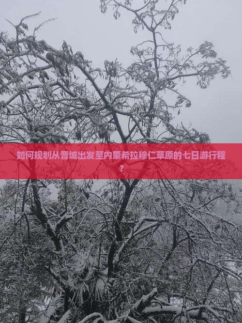 如何规划从晋城出发至内蒙希拉穆仁草原的七日游行程？