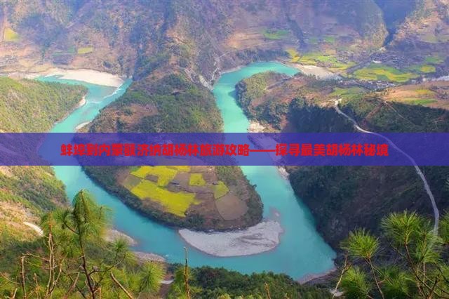 蚌埠到内蒙额济纳胡杨林旅游攻略——探寻最美胡杨林秘境