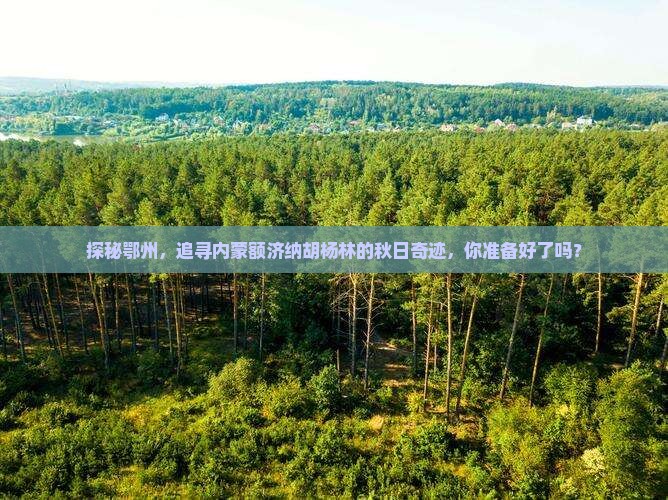 探秘鄂州，追寻内蒙额济纳胡杨林的秋日奇迹，你准备好了吗？