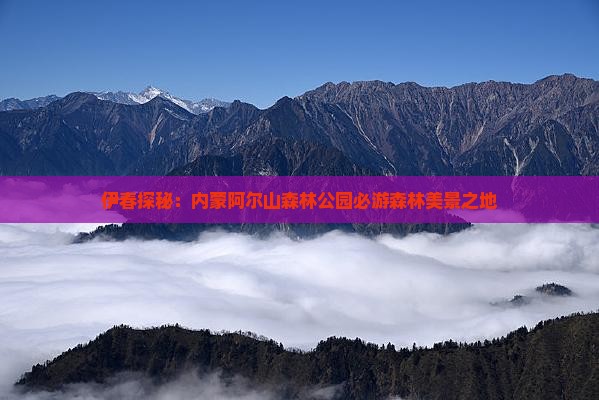 伊春探秘：内蒙阿尔山森林公园必游森林美景之地
