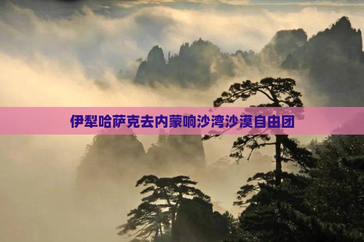 伊犁哈萨克去内蒙响沙湾沙漠自由团