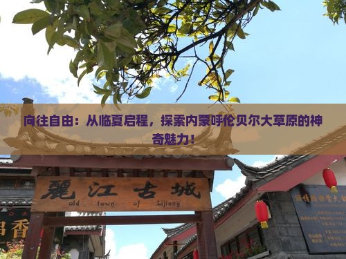向往自由：从临夏启程，探索内蒙呼伦贝尔大草原的神奇魅力！
