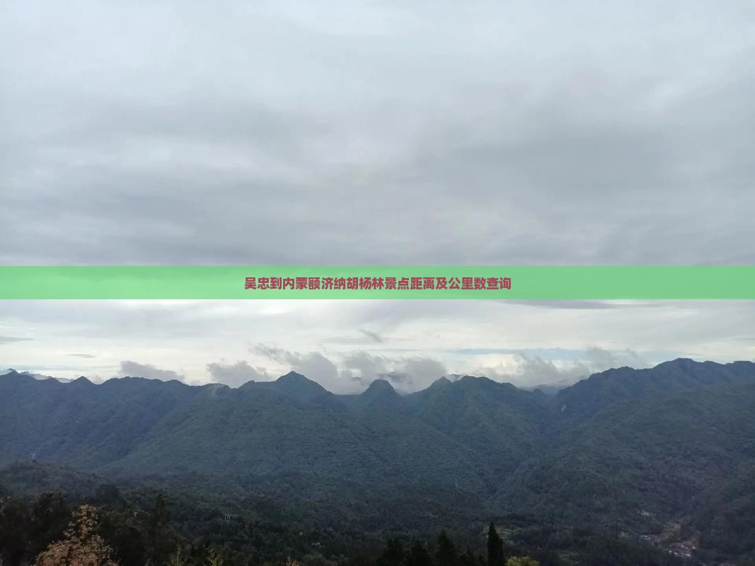 吴忠到内蒙额济纳胡杨林景点距离及公里数查询